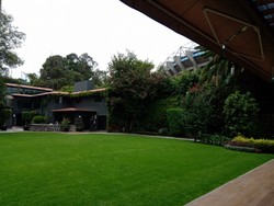 View terraza afuera.jpg